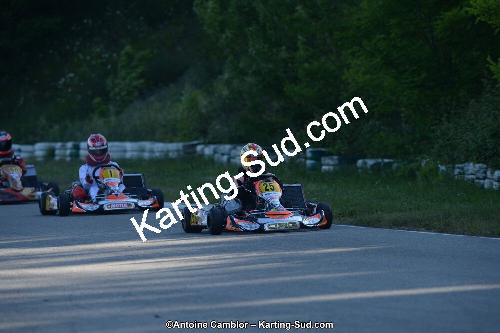 02/06/2013 : 4ème manche du Championnat du Sud 2013 à Alès (Photos Antoine Camblor) 2013 — karting