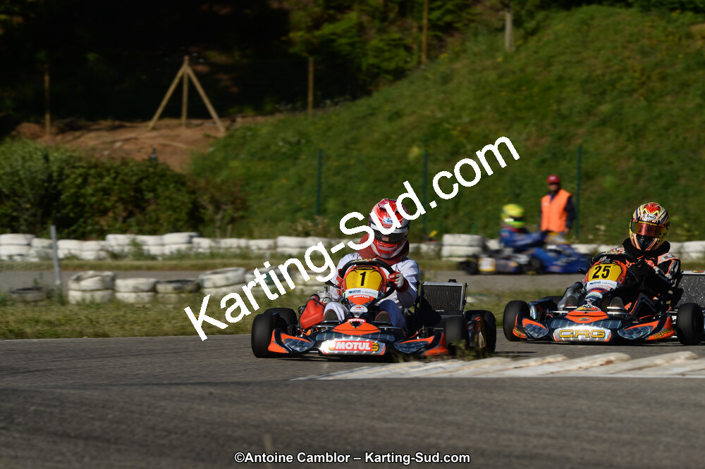 02/06/2013 : 4ème manche du Championnat du Sud 2013 à Alès (Photos Antoine Camblor) 2013 — karting