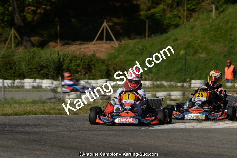 DSC_6951-2.jpg