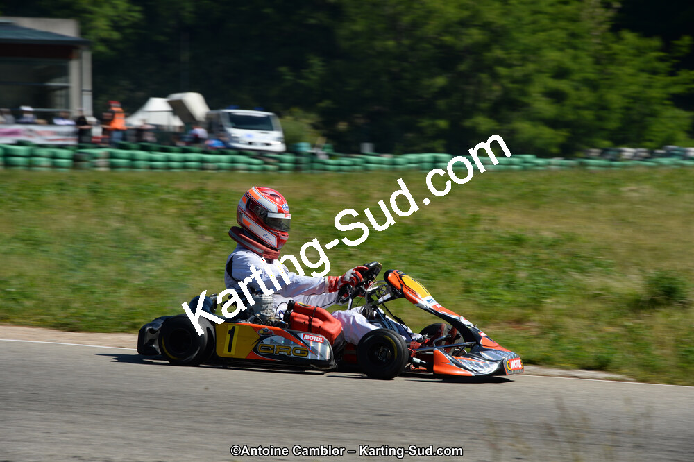 02/06/2013 : 4ème manche du Championnat du Sud 2013 à Alès (Photos Antoine Camblor) 2013 — karting