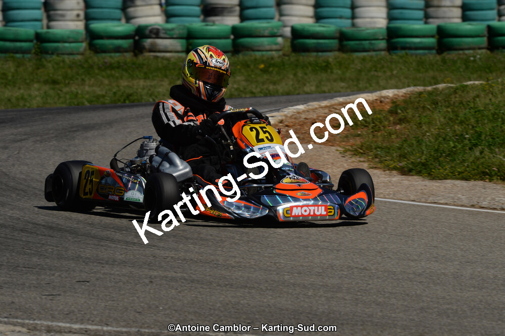 02/06/2013 : 4ème manche du Championnat du Sud 2013 à Alès (Photos Antoine Camblor) 2013 — karting