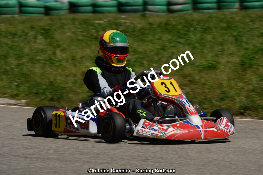 02/06/2013 : 4ème manche du Championnat du Sud 2013 à Alès (Photos Antoine Camblor) 2013 — karting