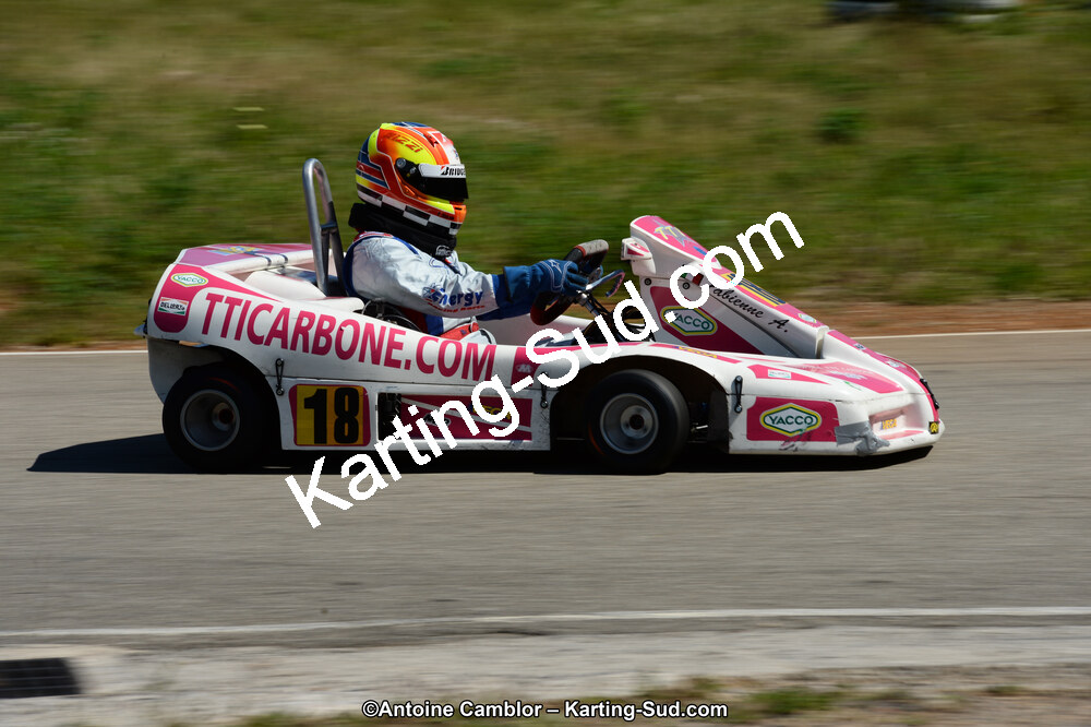 02/06/2013 : 4ème manche du Championnat du Sud 2013 à Alès (Photos Antoine Camblor) 2013 — karting