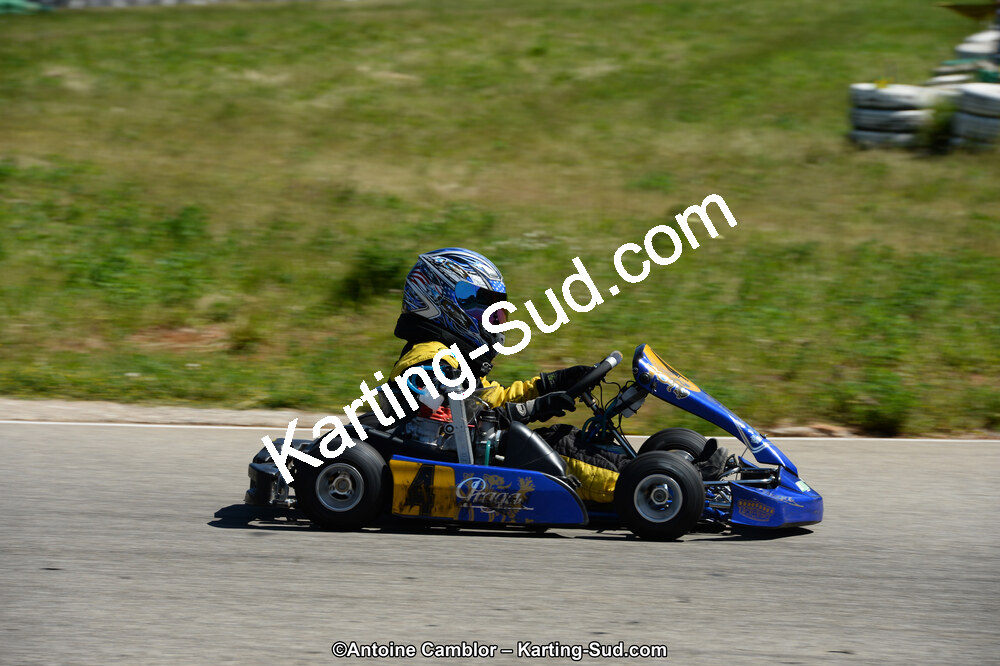 DSC_8005.jpg