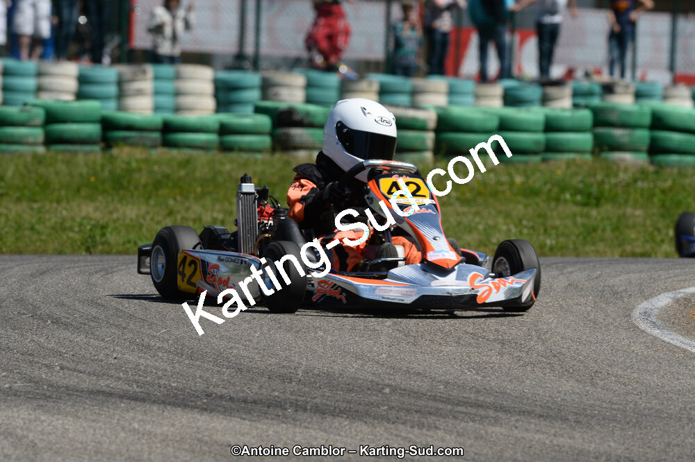 02/06/2013 : 4ème manche du Championnat du Sud 2013 à Alès (Photos Antoine Camblor) 2013 — karting