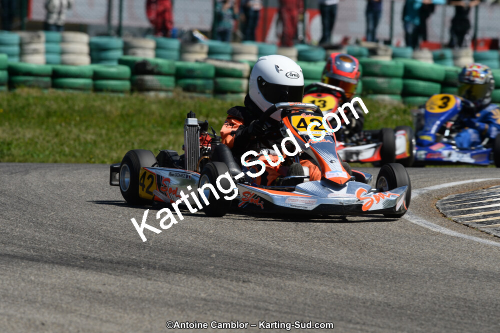 02/06/2013 : 4ème manche du Championnat du Sud 2013 à Alès (Photos Antoine Camblor) 2013 — karting