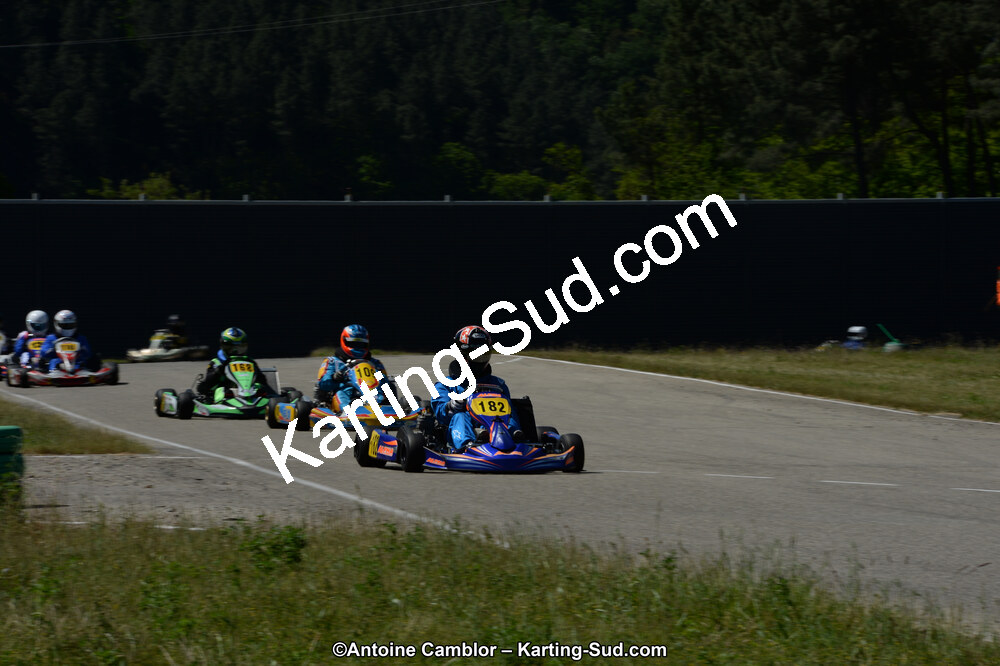 DSC_8119.jpg
