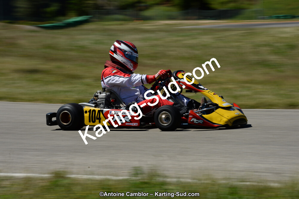 02/06/2013 : 4ème manche du Championnat du Sud 2013 à Alès (Photos Antoine Camblor) 2013 — karting