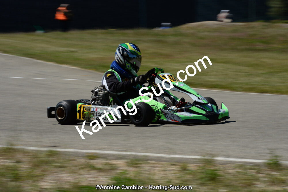 DSC_8181.jpg