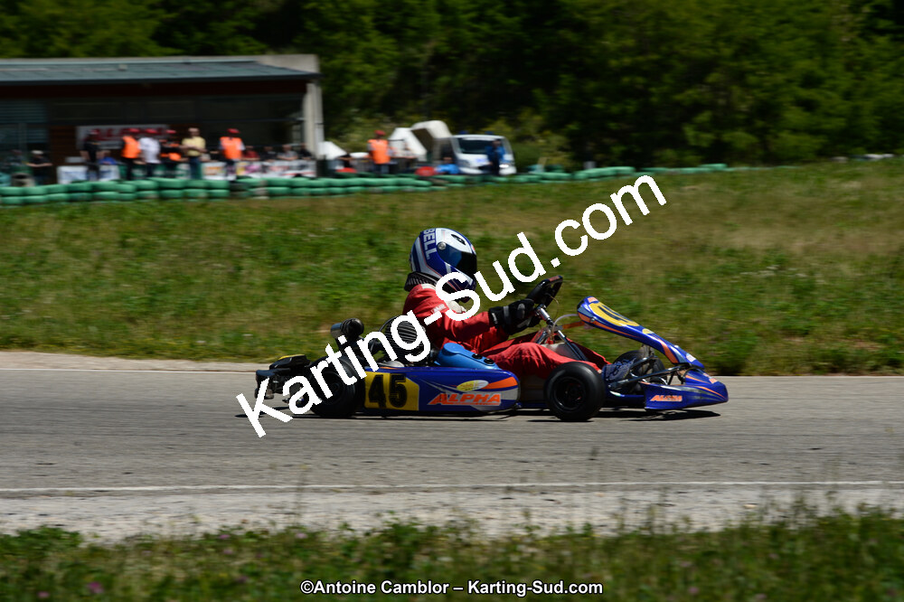 02/06/2013 : 4ème manche du Championnat du Sud 2013 à Alès (Photos Antoine Camblor) 2013 — karting