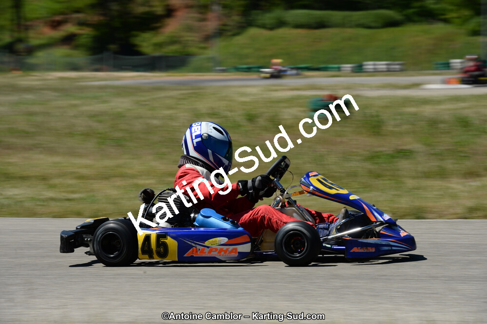 02/06/2013 : 4ème manche du Championnat du Sud 2013 à Alès (Photos Antoine Camblor) 2013 — karting