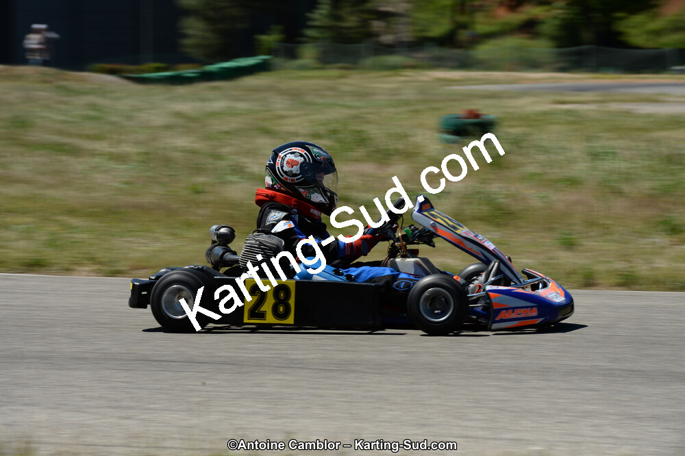 DSC_8310.jpg
