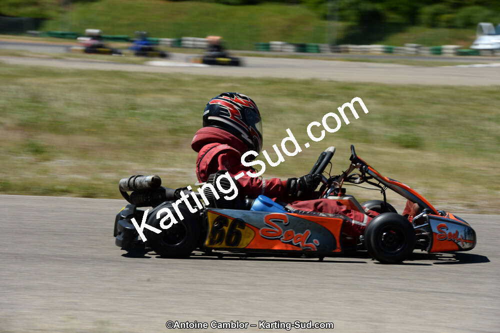 DSC_8311.jpg