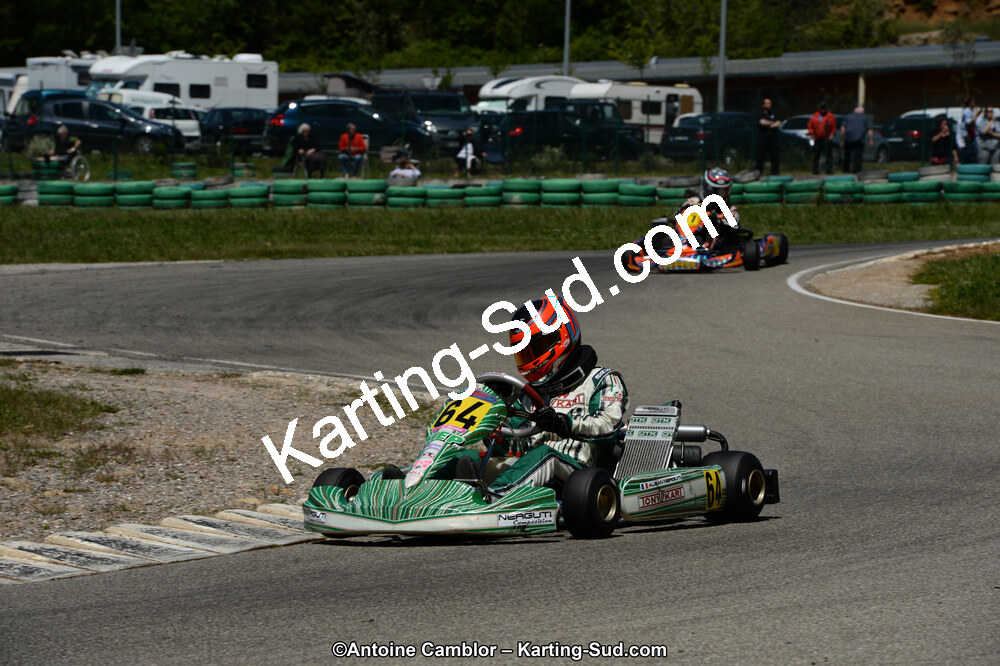 02/06/2013 : 4ème manche du Championnat du Sud 2013 à Alès (Photos Antoine Camblor) 2013 — karting