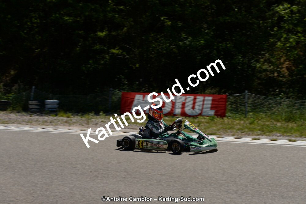 02/06/2013 : 4ème manche du Championnat du Sud 2013 à Alès (Photos Antoine Camblor) 2013 — karting