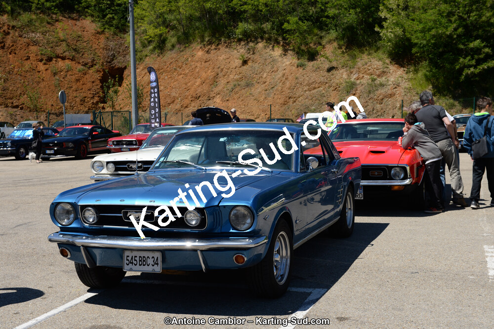 DSC_8396.jpg
