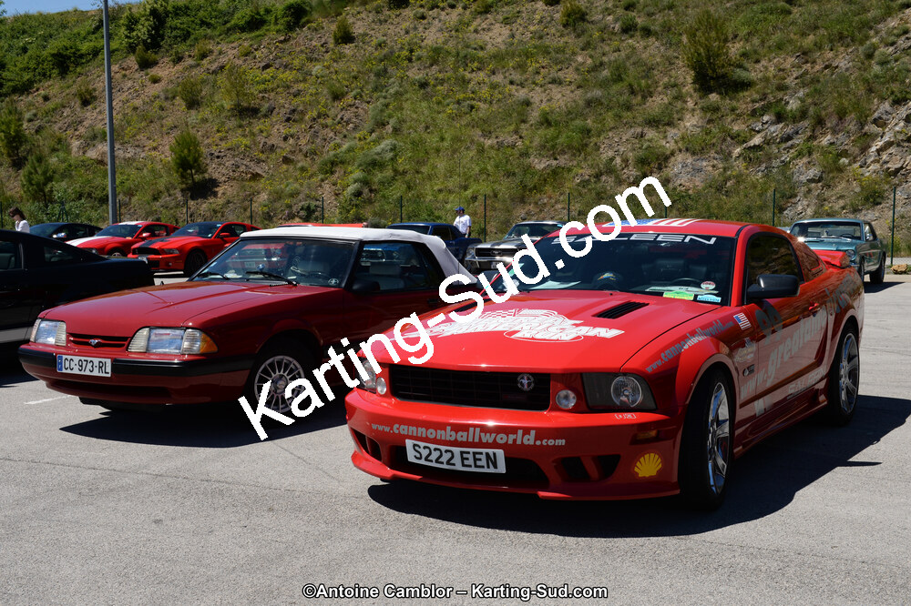 DSC_8413.jpg