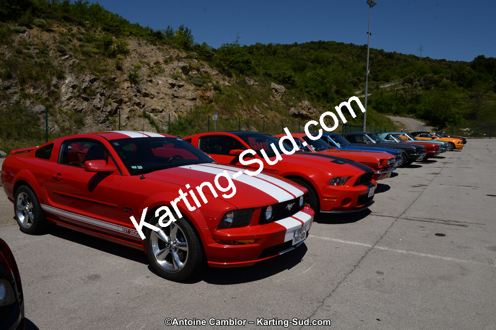 DSC_8428.jpg