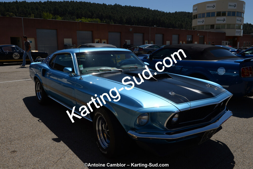 DSC_8435.jpg