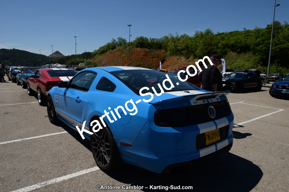 DSC_8442.jpg