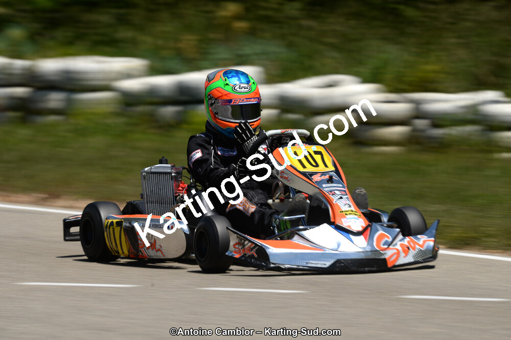 02/06/2013 : 4ème manche du Championnat du Sud 2013 à Alès (Photos Antoine Camblor) 2013 — karting