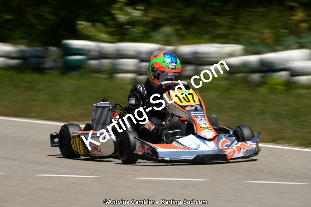 02/06/2013 : 4ème manche du Championnat du Sud 2013 à Alès (Photos Antoine Camblor) 2013 — karting