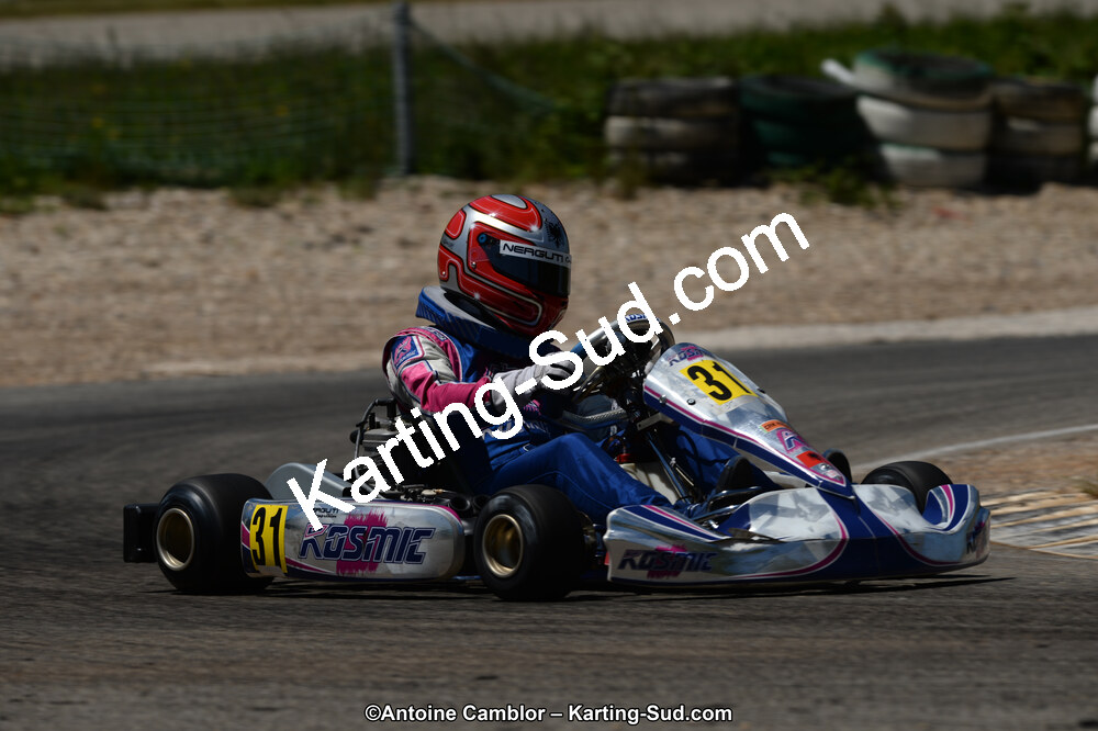 02/06/2013 : 4ème manche du Championnat du Sud 2013 à Alès (Photos Antoine Camblor) 2013 — karting