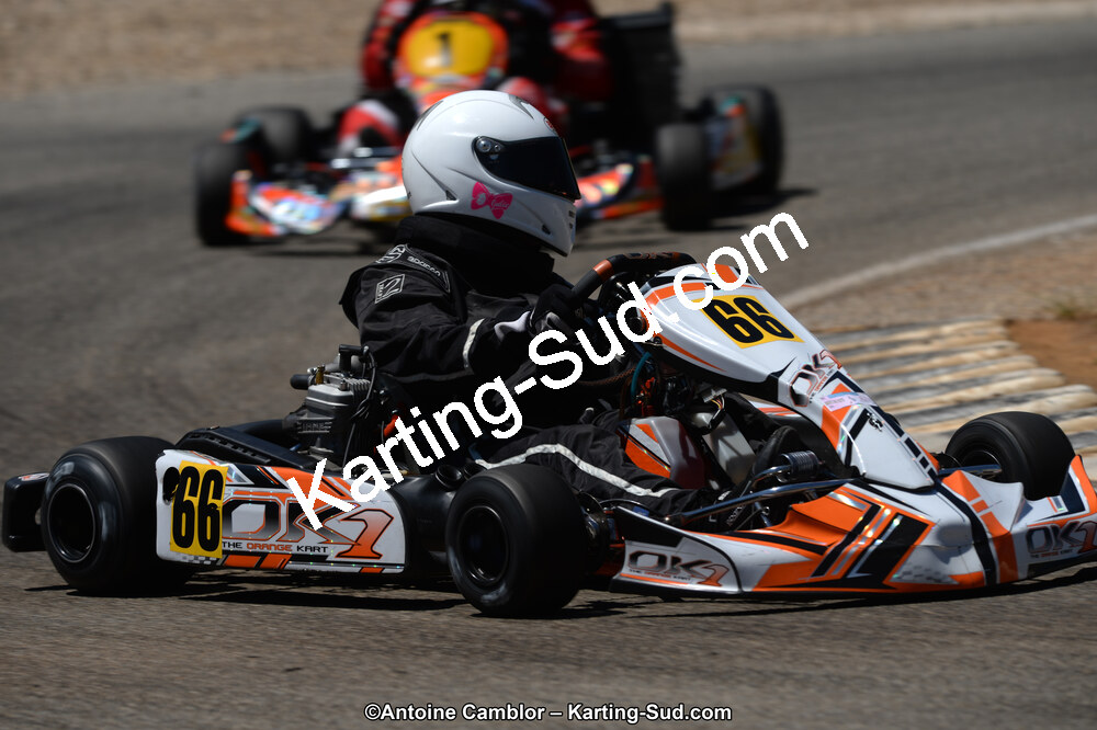 02/06/2013 : 4ème manche du Championnat du Sud 2013 à Alès (Photos Antoine Camblor) 2013 — karting