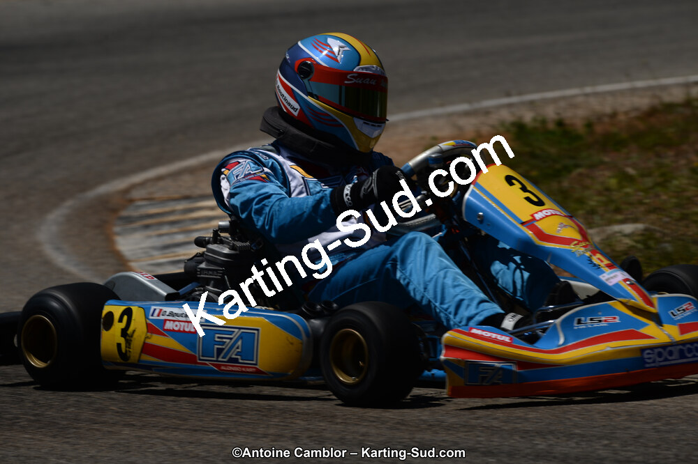02/06/2013 : 4ème manche du Championnat du Sud 2013 à Alès (Photos Antoine Camblor) 2013 — karting