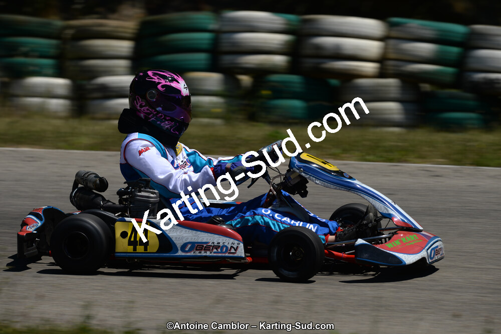 DSC_8684.jpg