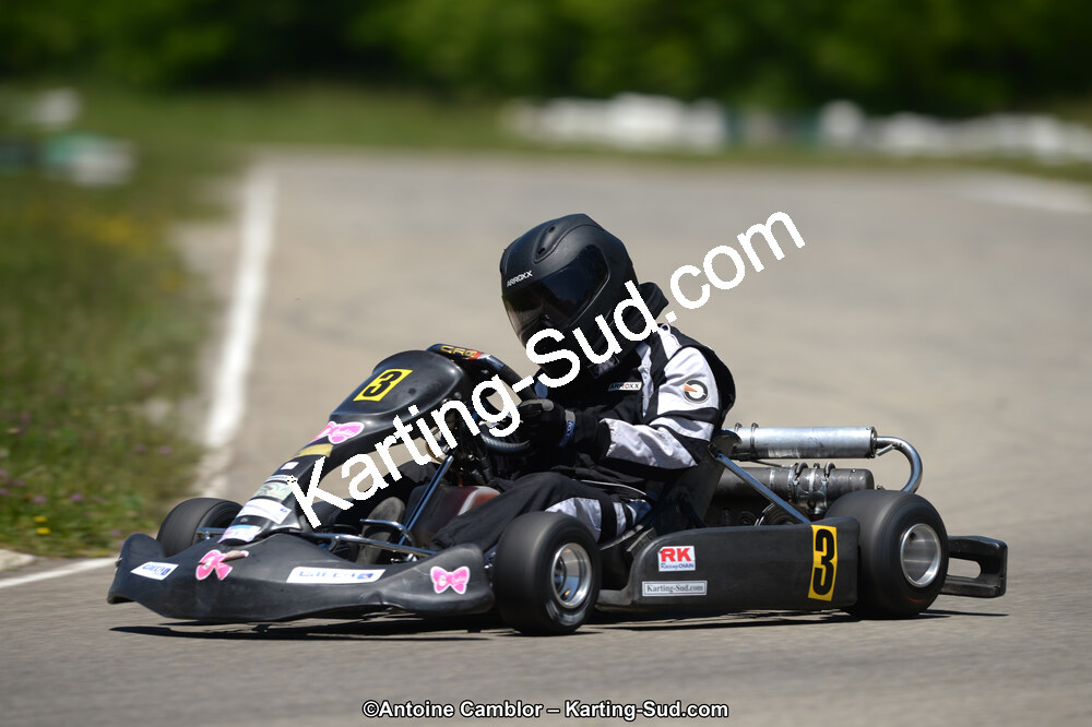 02/06/2013 : 4ème manche du Championnat du Sud 2013 à Alès (Photos Antoine Camblor) 2013 — karting