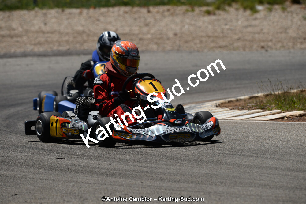 02/06/2013 : 4ème manche du Championnat du Sud 2013 à Alès (Photos Antoine Camblor) 2013 — karting