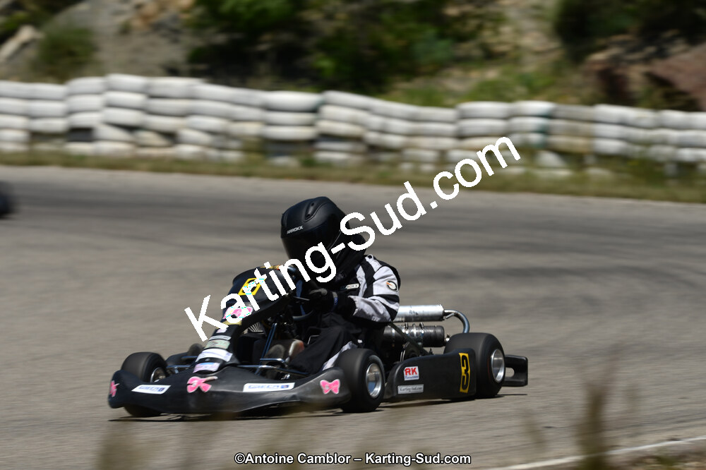 02/06/2013 : 4ème manche du Championnat du Sud 2013 à Alès (Photos Antoine Camblor) 2013 — karting