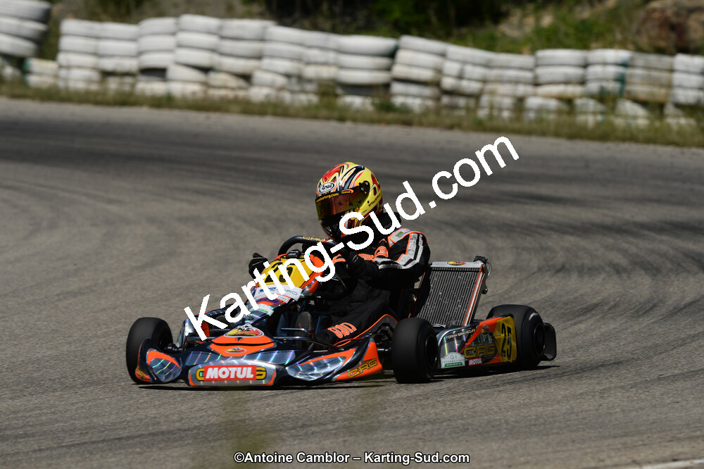 02/06/2013 : 4ème manche du Championnat du Sud 2013 à Alès (Photos Antoine Camblor) 2013 — karting
