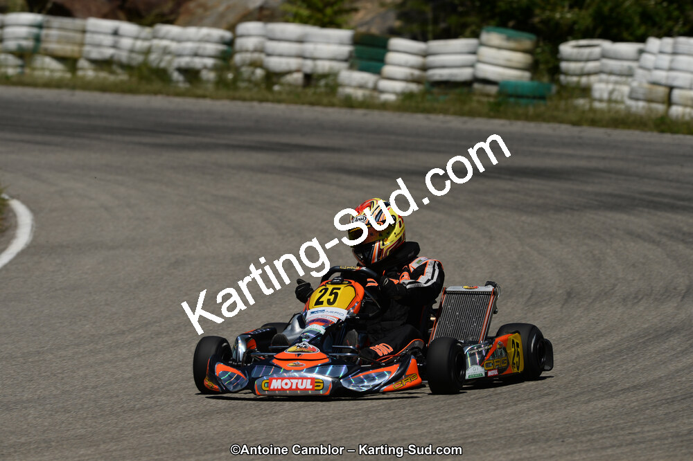 02/06/2013 : 4ème manche du Championnat du Sud 2013 à Alès (Photos Antoine Camblor) 2013 — karting