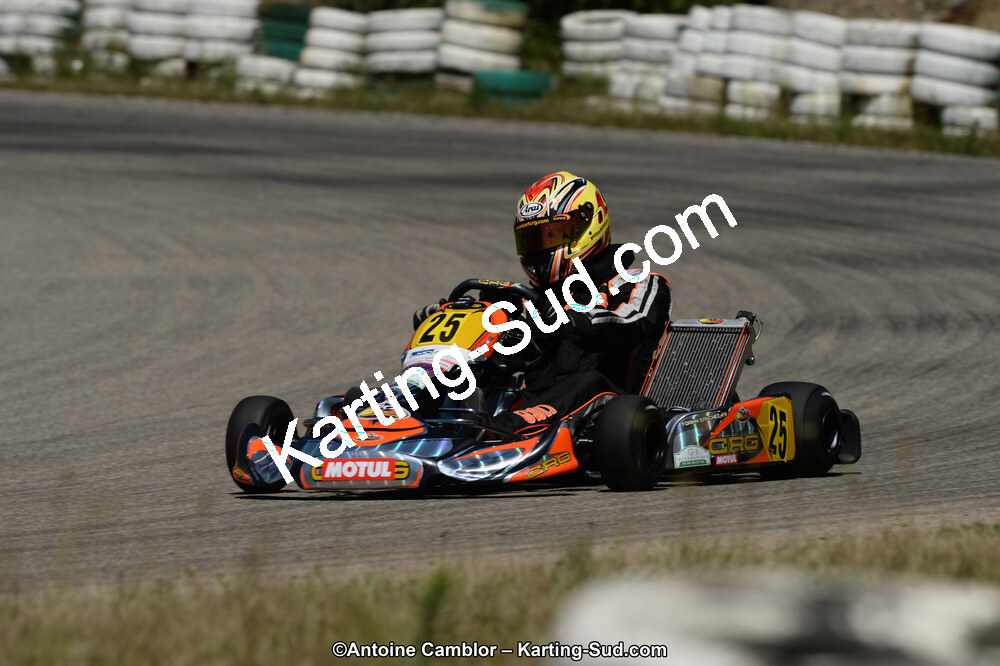 02/06/2013 : 4ème manche du Championnat du Sud 2013 à Alès (Photos Antoine Camblor) 2013 — karting