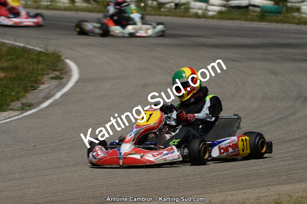 02/06/2013 : 4ème manche du Championnat du Sud 2013 à Alès (Photos Antoine Camblor) 2013 — karting