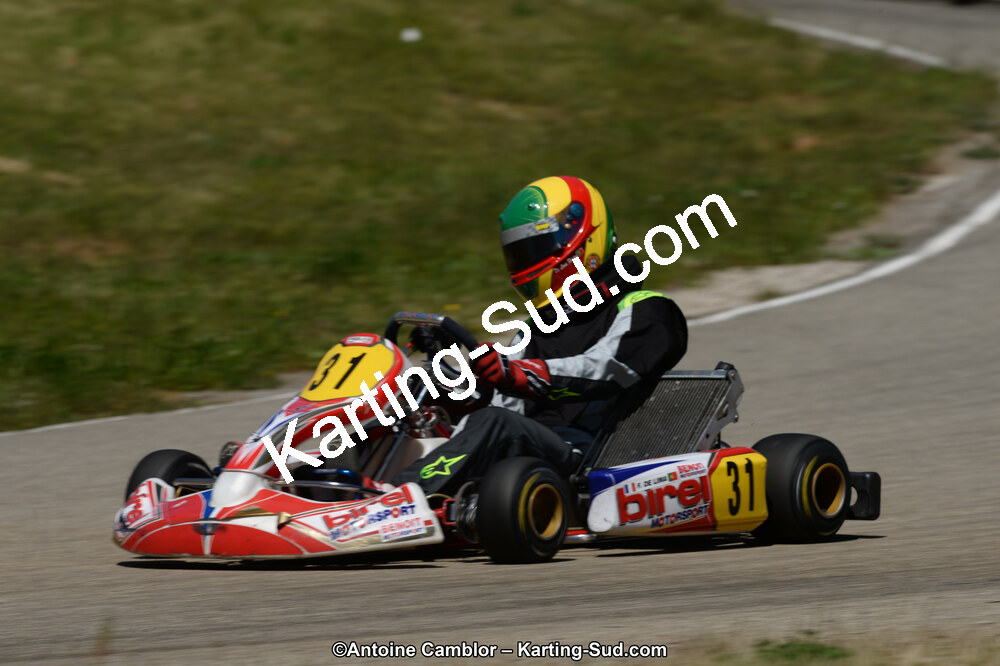02/06/2013 : 4ème manche du Championnat du Sud 2013 à Alès (Photos Antoine Camblor) 2013 — karting