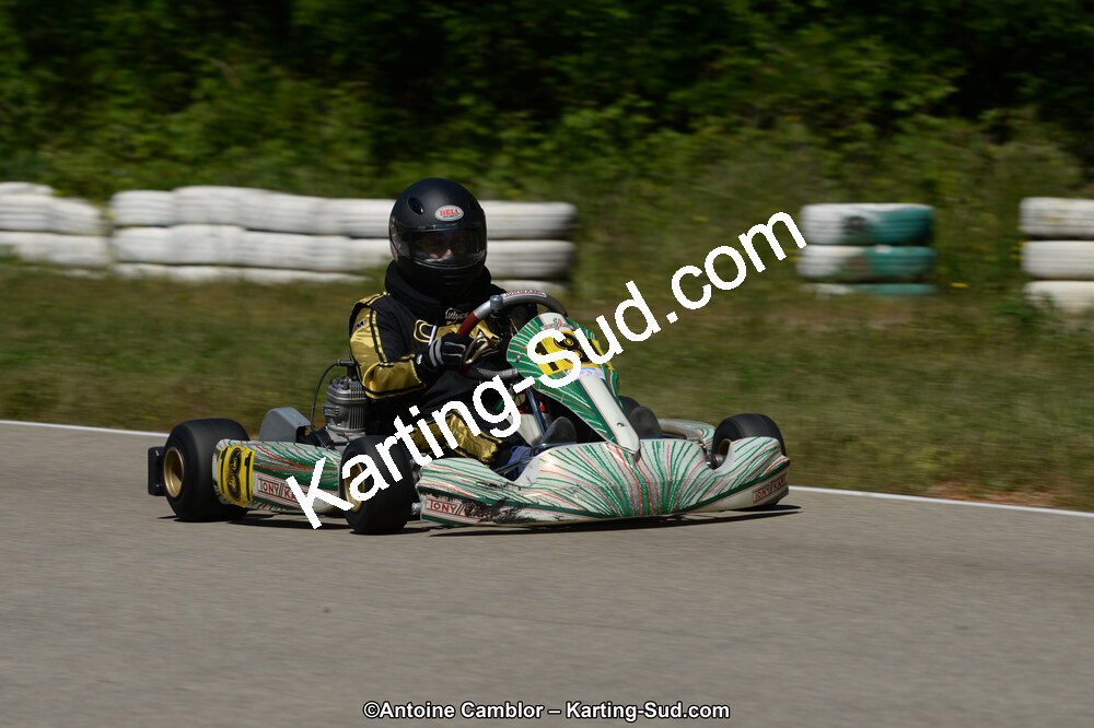02/06/2013 : 4ème manche du Championnat du Sud 2013 à Alès (Photos Antoine Camblor) 2013 — karting