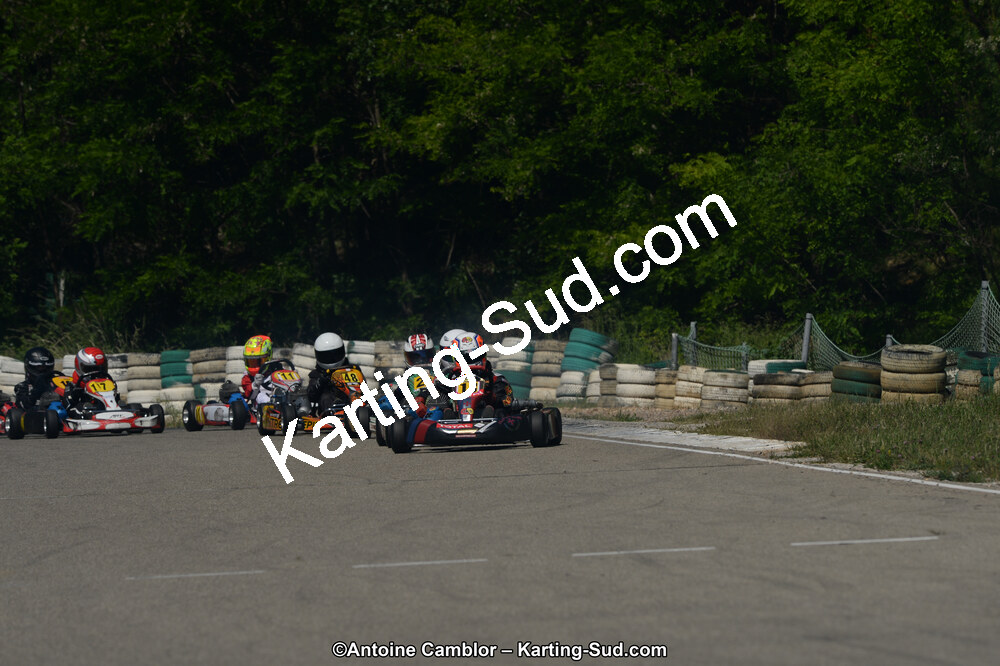 DSC_9331.jpg