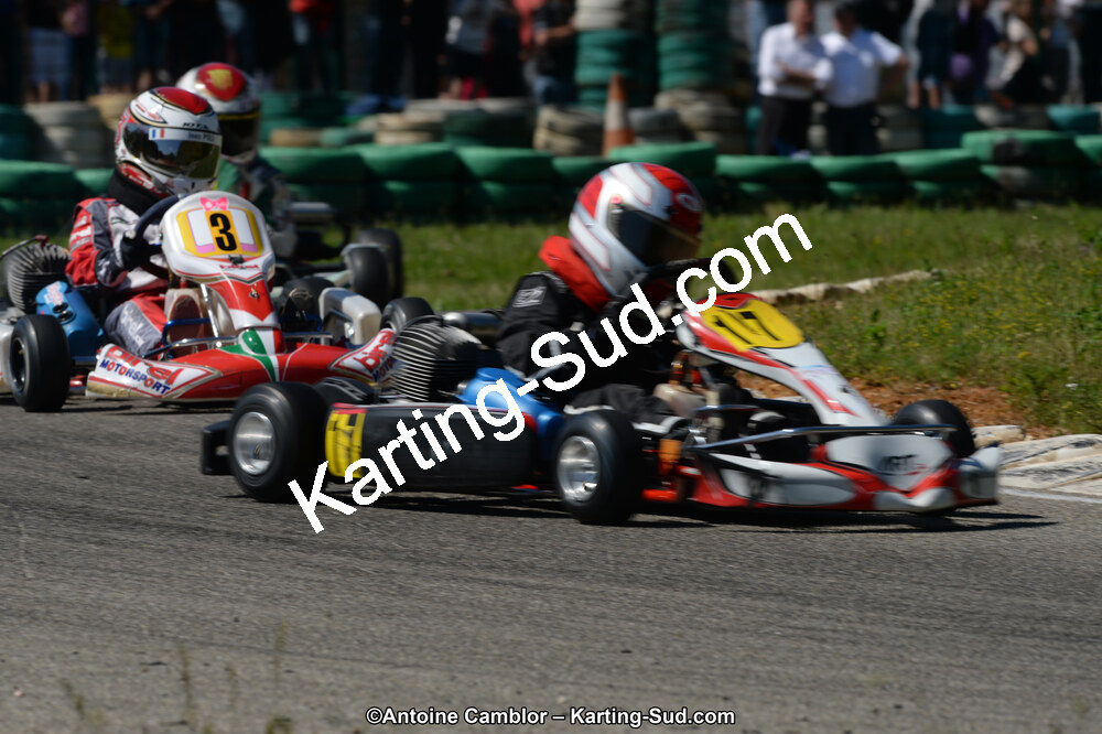 DSC_9381.jpg