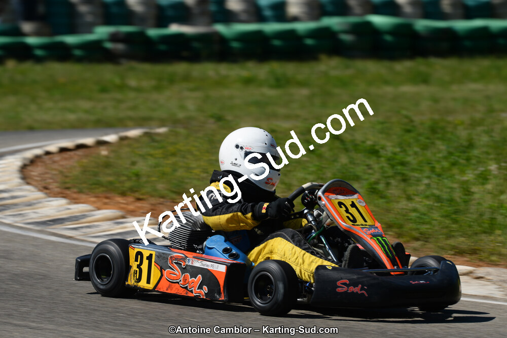 02/06/2013 : 4ème manche du Championnat du Sud 2013 à Alès (Photos Antoine Camblor) 2013 — karting