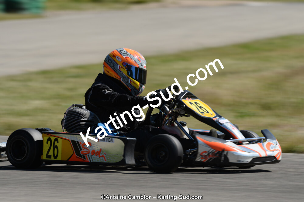 02/06/2013 : 4ème manche du Championnat du Sud 2013 à Alès (Photos Antoine Camblor) 2013 — karting