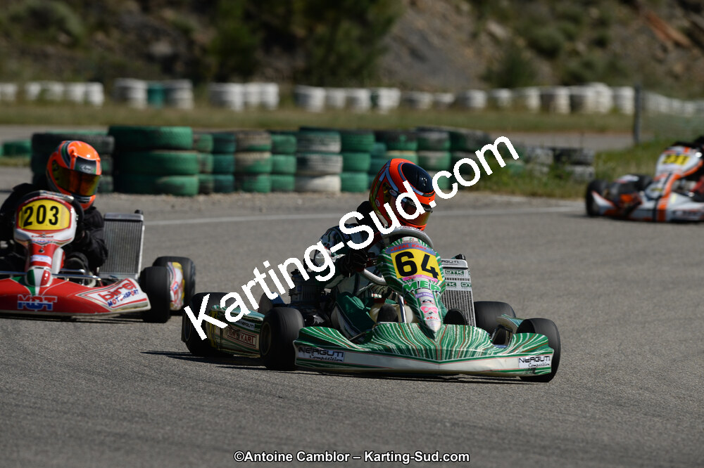 02/06/2013 : 4ème manche du Championnat du Sud 2013 à Alès (Photos Antoine Camblor) 2013 — karting