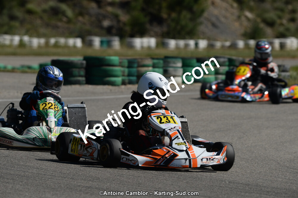 02/06/2013 : 4ème manche du Championnat du Sud 2013 à Alès (Photos Antoine Camblor) 2013 — karting