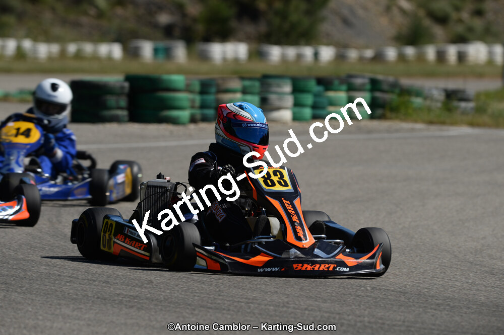 02/06/2013 : 4ème manche du Championnat du Sud 2013 à Alès (Photos Antoine Camblor) 2013 — karting