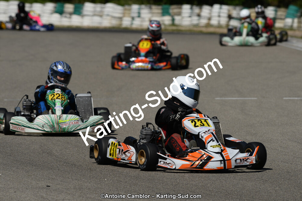 02/06/2013 : 4ème manche du Championnat du Sud 2013 à Alès (Photos Antoine Camblor) 2013 — karting