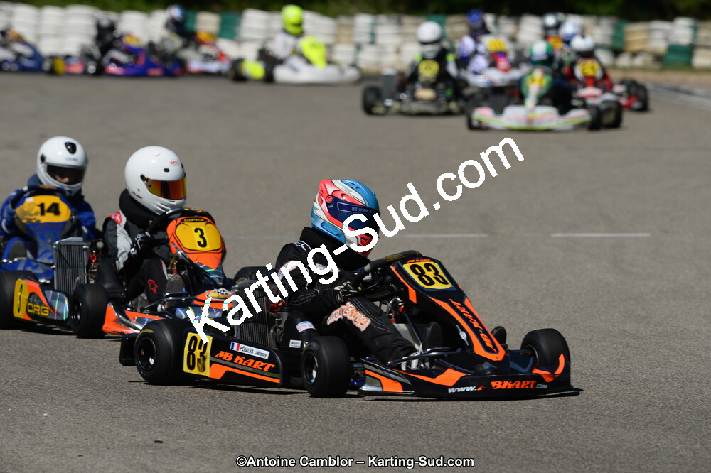 02/06/2013 : 4ème manche du Championnat du Sud 2013 à Alès (Photos Antoine Camblor) 2013 — karting