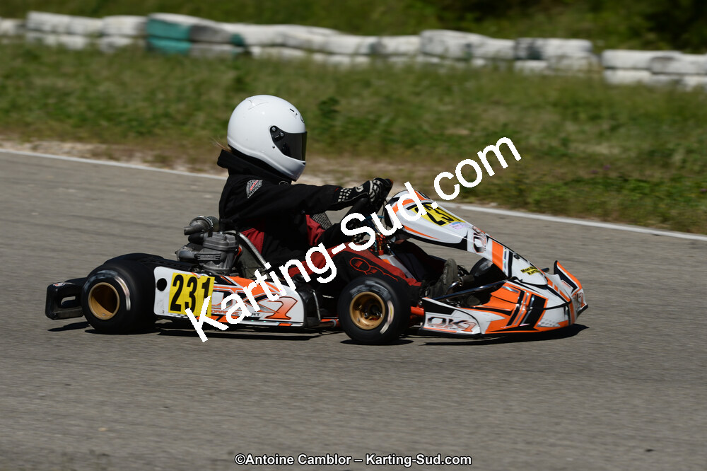 02/06/2013 : 4ème manche du Championnat du Sud 2013 à Alès (Photos Antoine Camblor) 2013 — karting