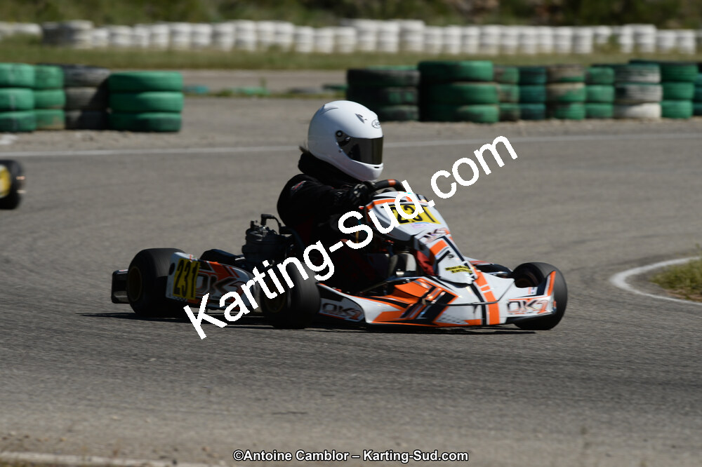 02/06/2013 : 4ème manche du Championnat du Sud 2013 à Alès (Photos Antoine Camblor) 2013 — karting